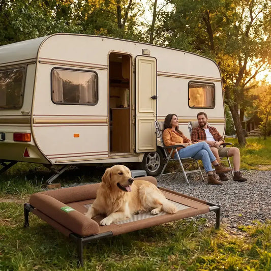Un couple en camping avec leur golden retriever allongé sur son lit pour chien.
