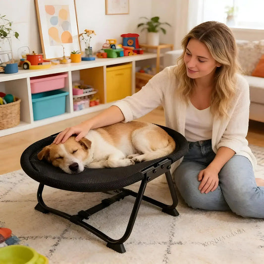 Une femme caresse son chien allongé sur un lit pour chien surélevé dans un salon.

