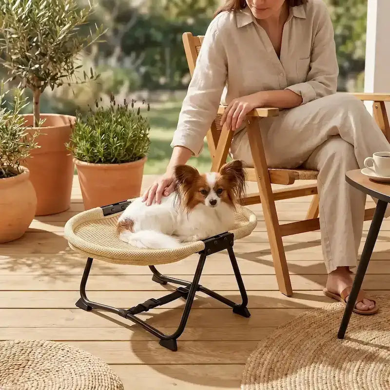 Une femme sur une terrasse caresse son chihuahua papillon allongé sur un lit pour chien surélevé.