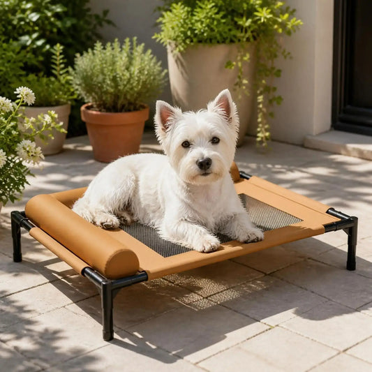 Un west highland allongé sur un lit surélevé pour chien sur une terrasse.