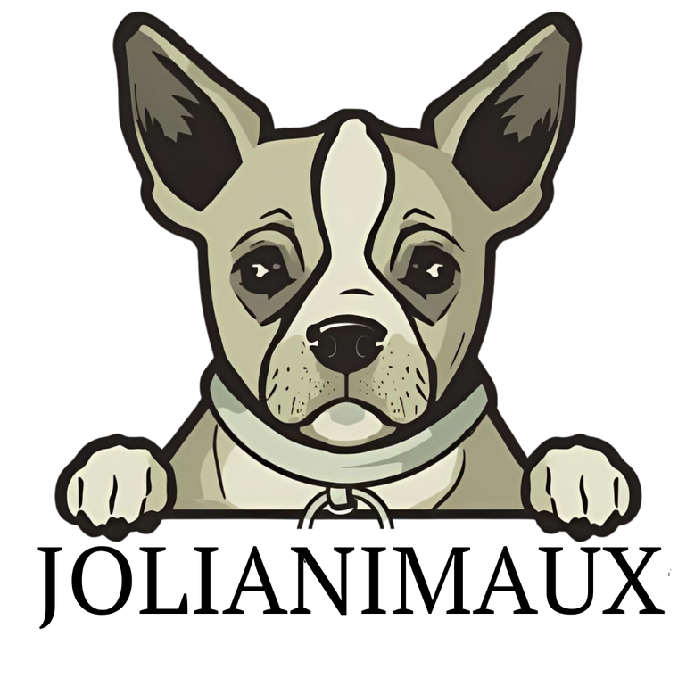 Logo de Jolianimaux