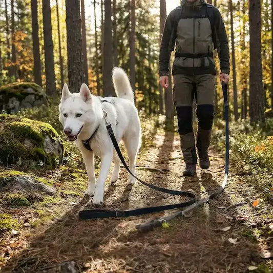 Un homme avec son husky marche dans un sentier avec la longe de 10 m pour chien noire.