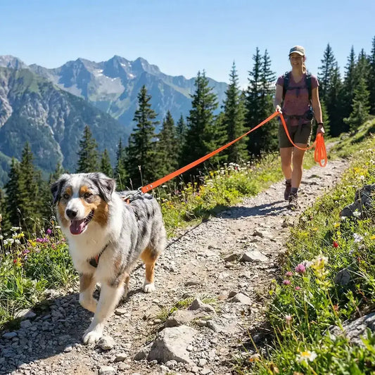 Une femme en randonnée dans les montagnes avec son berger australien et sa longe pour chien de 20 m orange.
