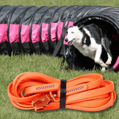 longe chien agilite tunel longe-couleur-orange
