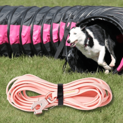 longe chien agilite tunel longe couleur rose