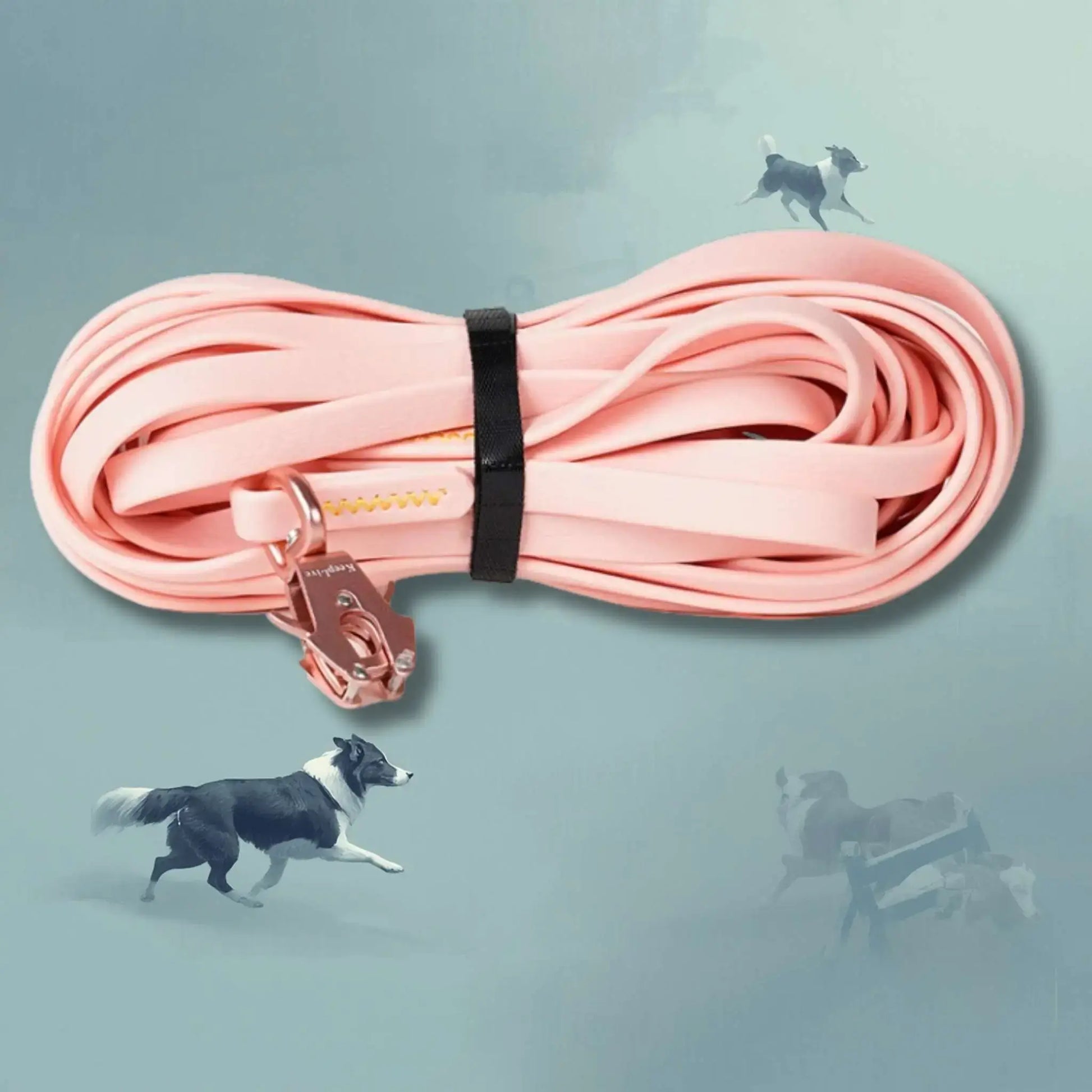 Une longe pour un chien de couleur rose.