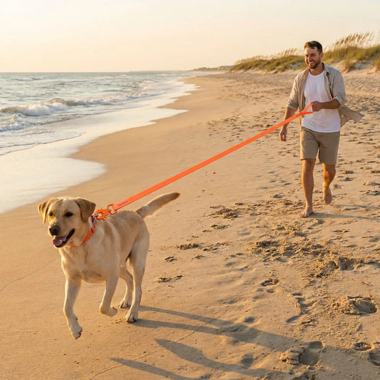Un homme court sur la plage avec son labrador et la longe pour chien orange.