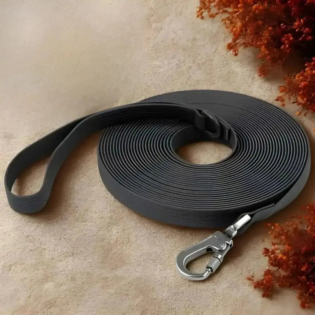 Une longe pour chien de couleur noire avec plante séchée.