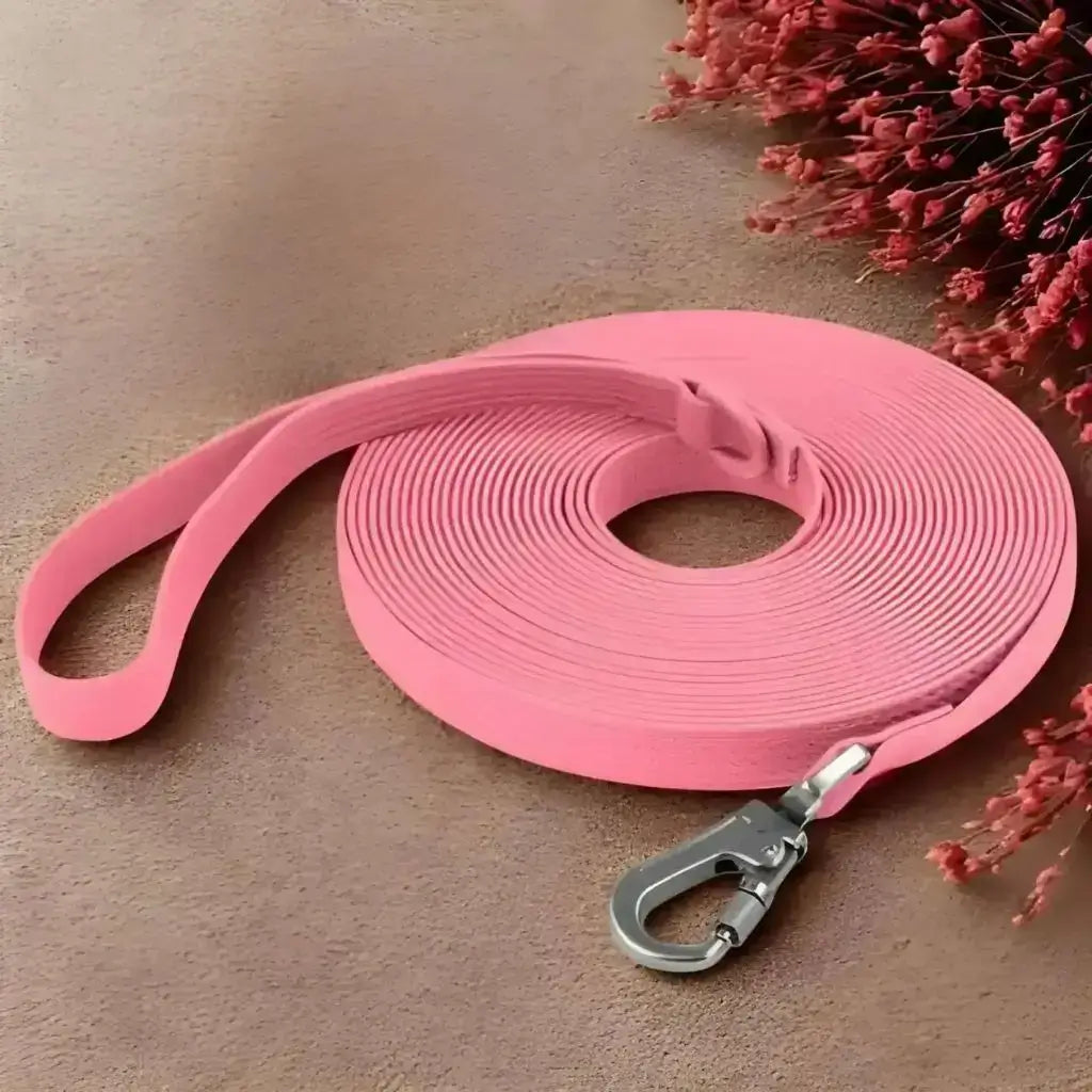 Une longe pour chien de couleur rose avec plante séchée.