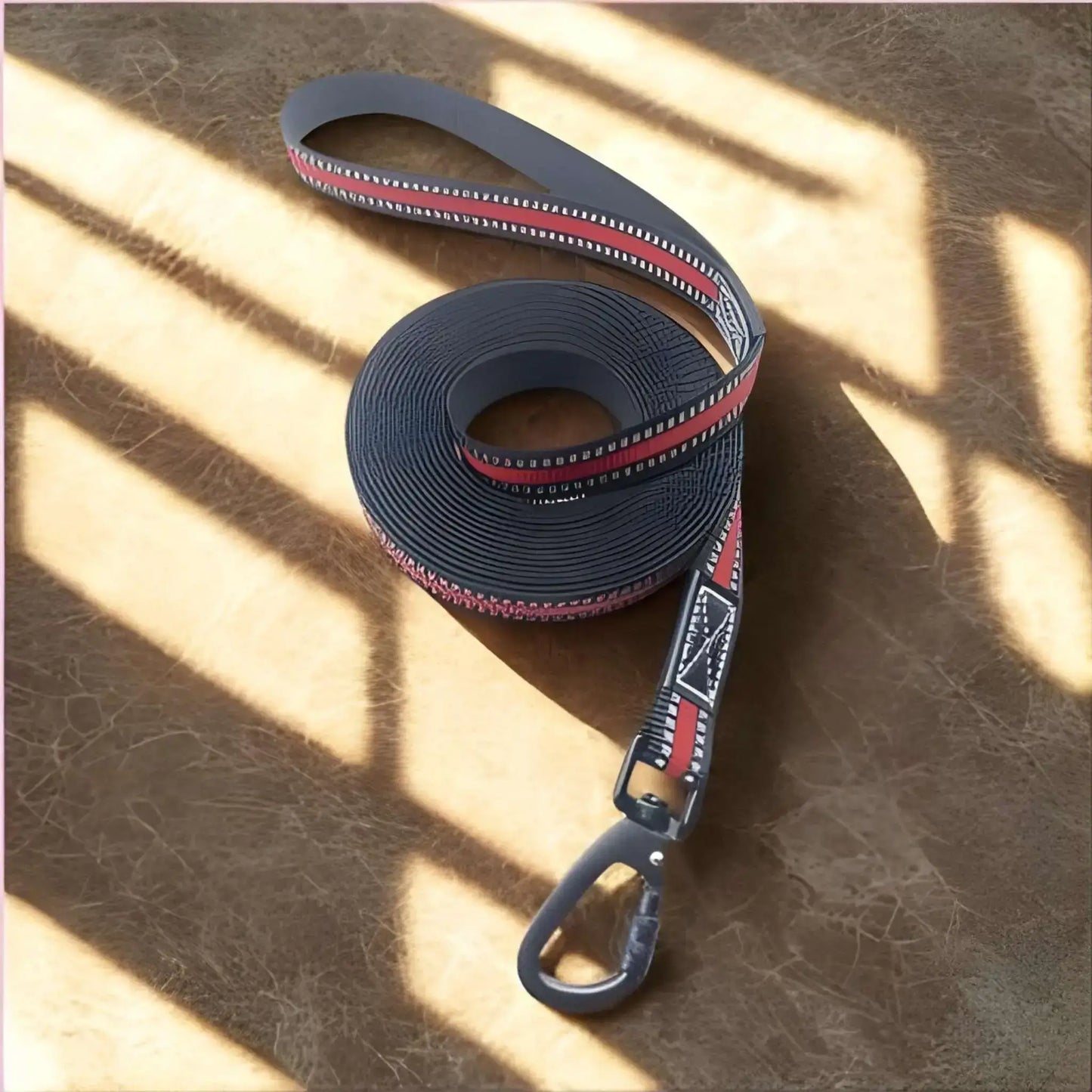 Une longe pour chien de couleur rouge avec un mousqueton robuste.