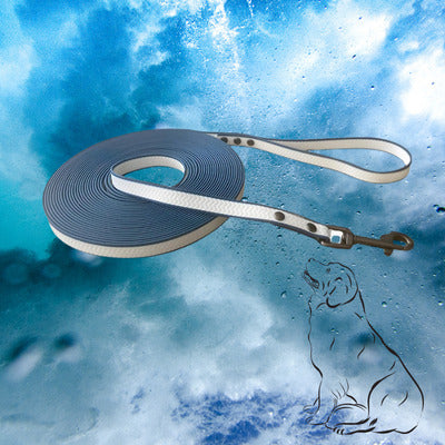 longe chien couleur blanc bleu