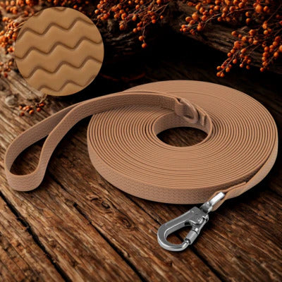 longe chien couleur brun fleur secher