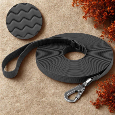 longe chien couleur gris fonce