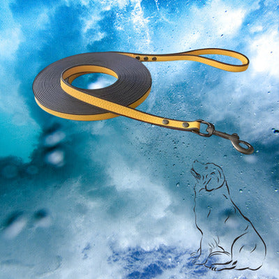 longe chien couleur jaune noir