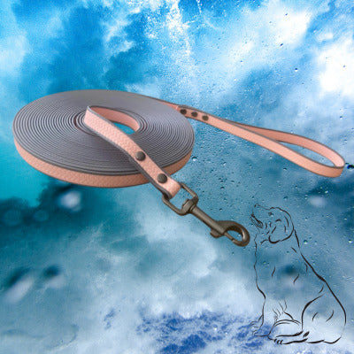 longe chien couleur rose gris