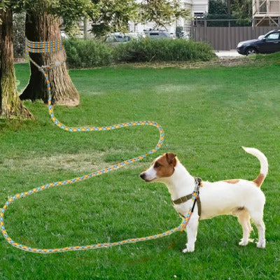 longe chien jack russell longe attacher arbre