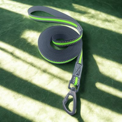 longe chien reflechissante couleur vert fluo