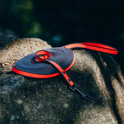 longe chien rouge noir rocher eau