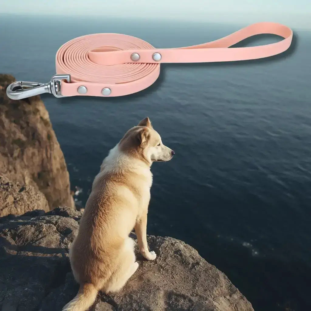Un akita assis sur un rocher regarde l'océan avec une longe pour chien de 15m rose.