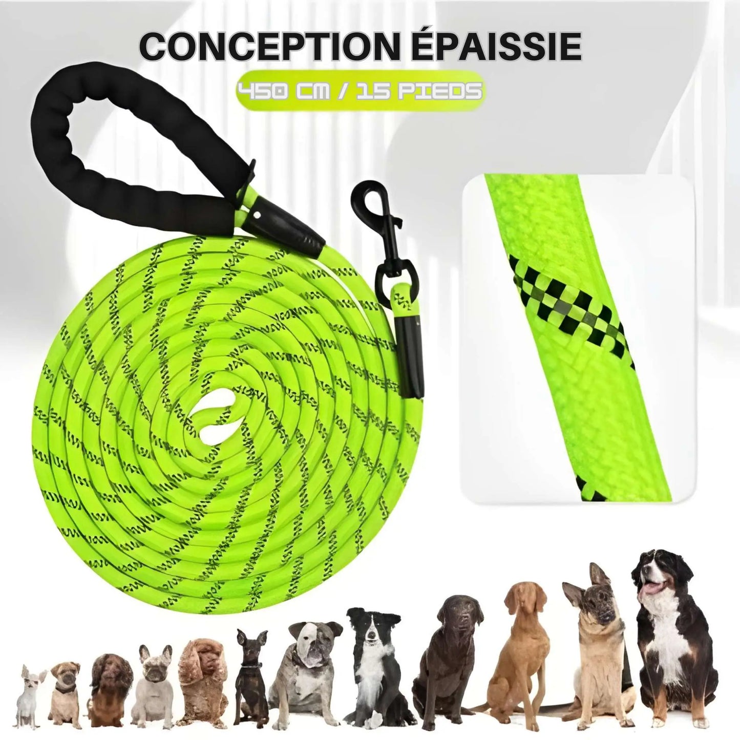 Conception épaissie de la longe pour chien Agilité.