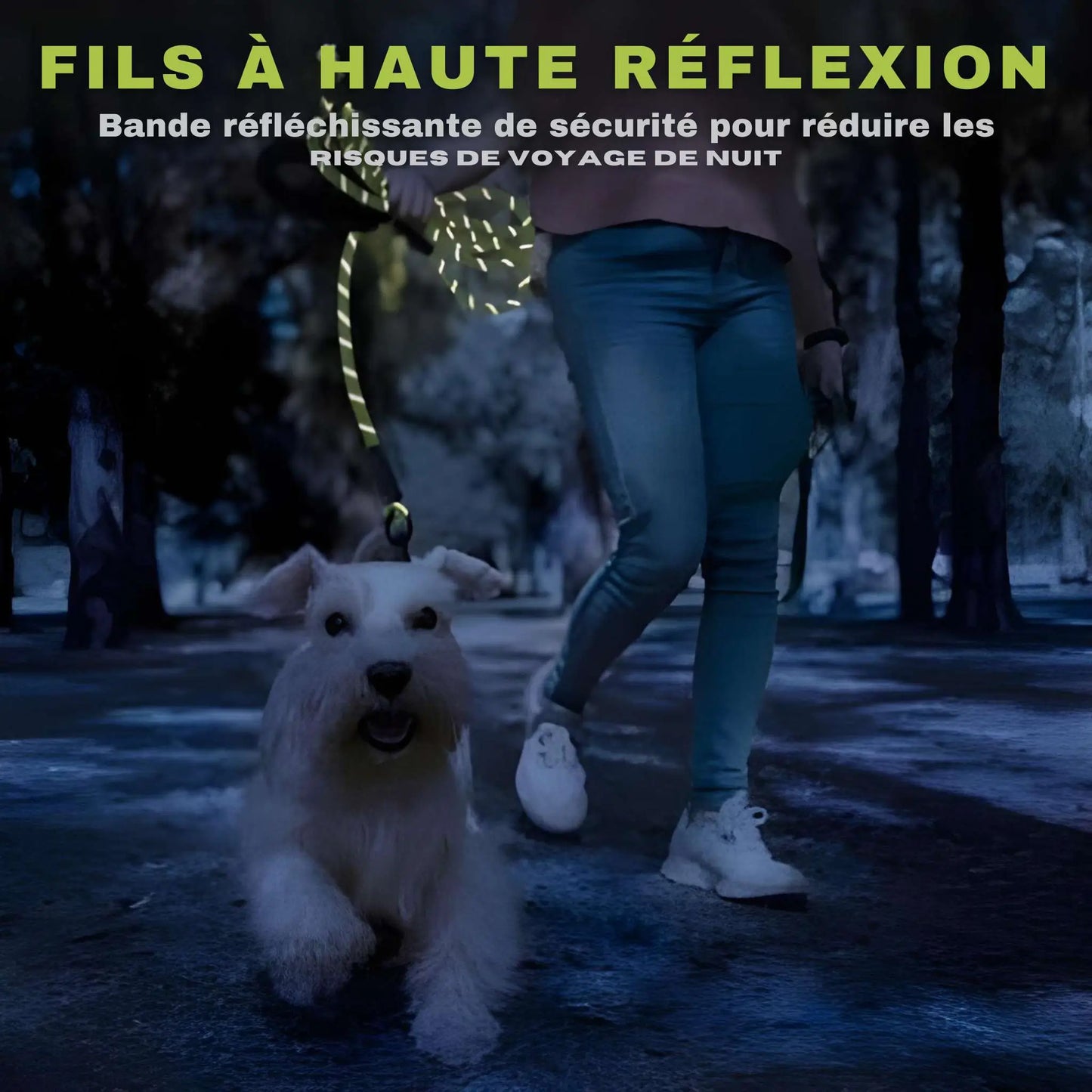 Fil à haute réflexion de la longe pour chien Agilité.