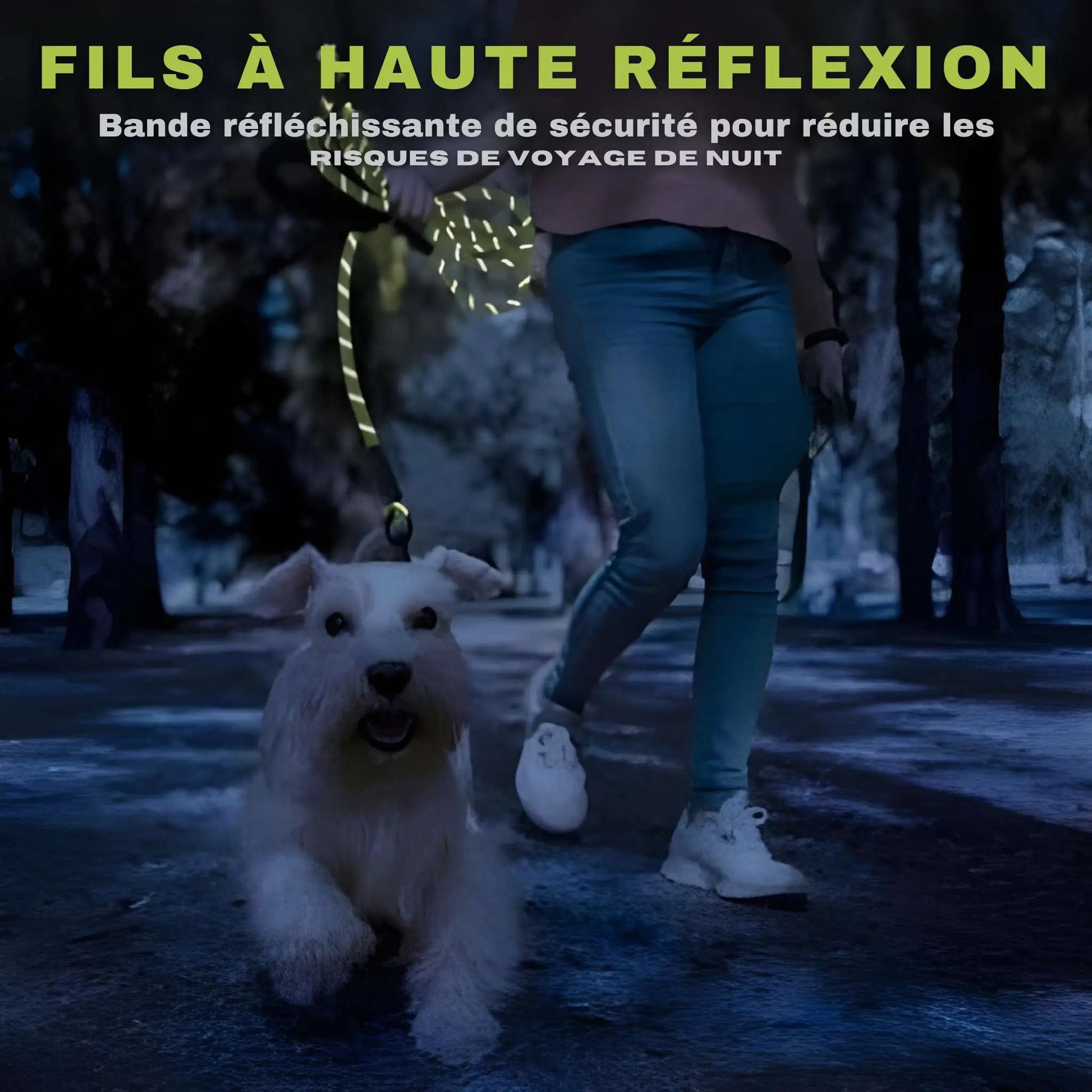 Fil à haute réflexion de la longe pour chien Agilité.