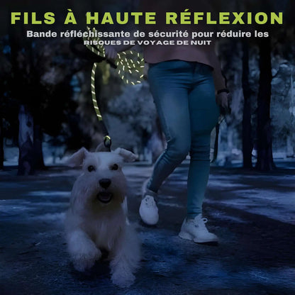 Fil à haute réflexion de la longe pour chien Agilité.