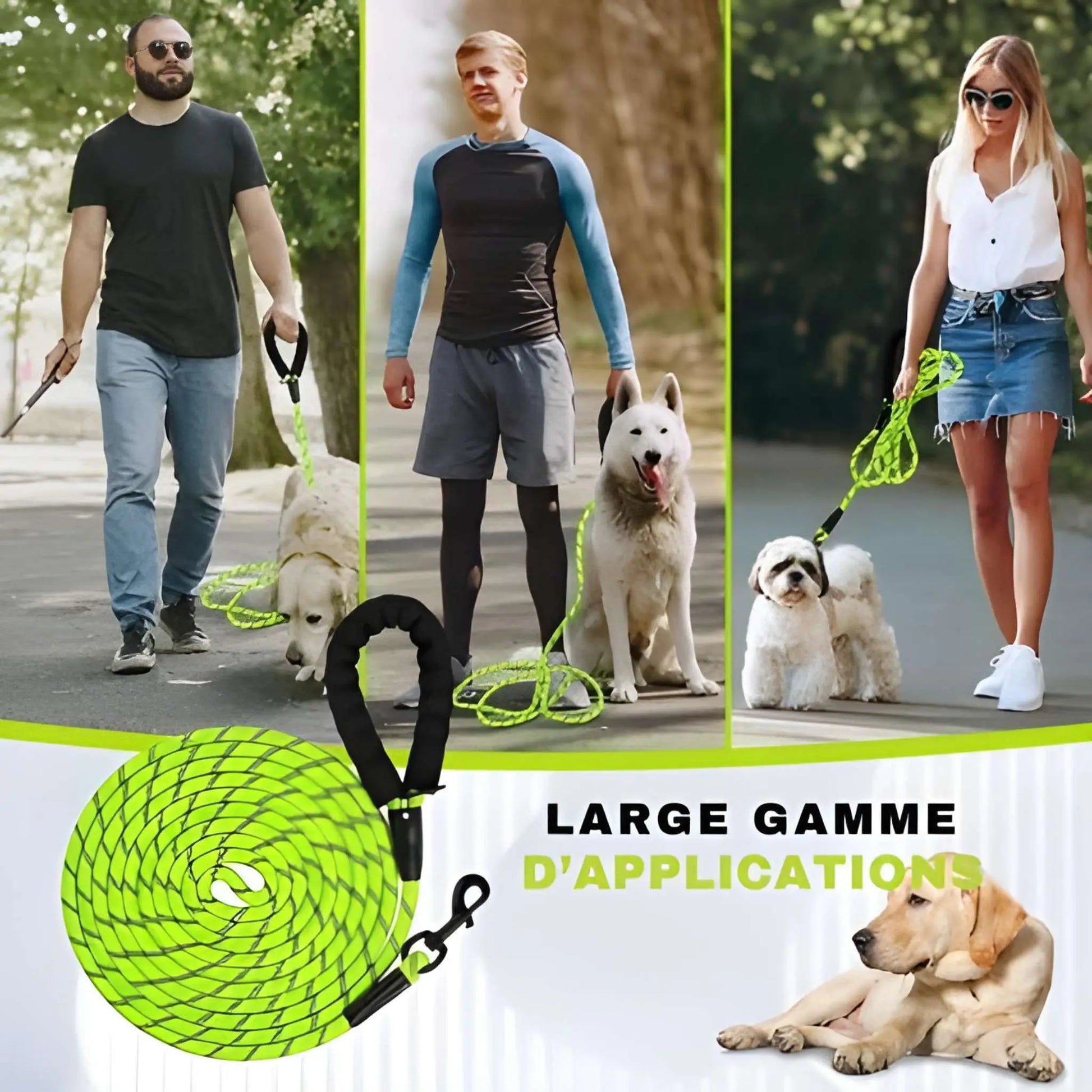 Large gamme applicable de la longe pour chien Agilité : marche, course, agilité