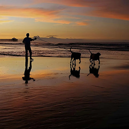 Un homme avec deux chiens sur la plage au coucher du soleil avec la longe pour chien Agilité.