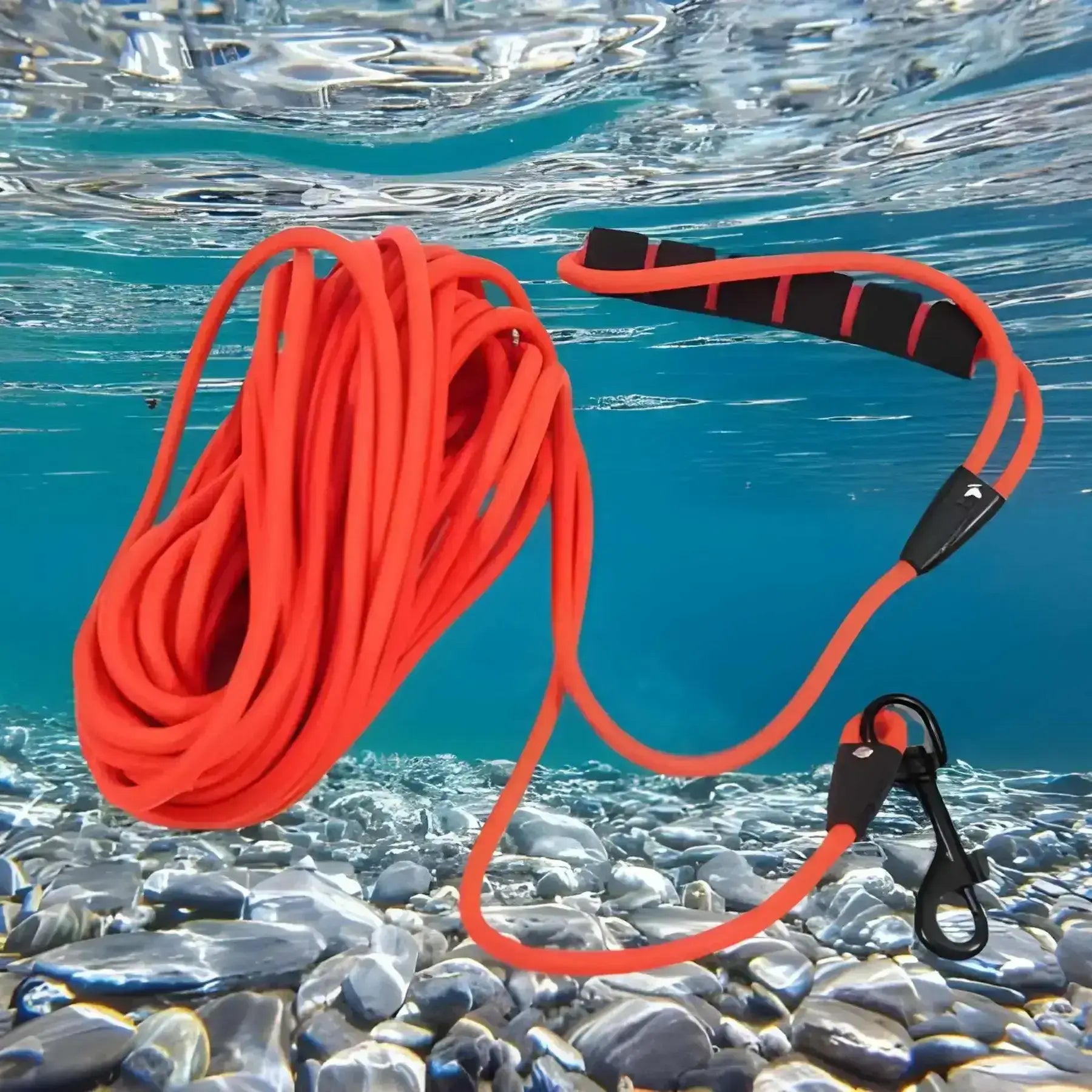 Une longe pour chien rouge dans un lac.