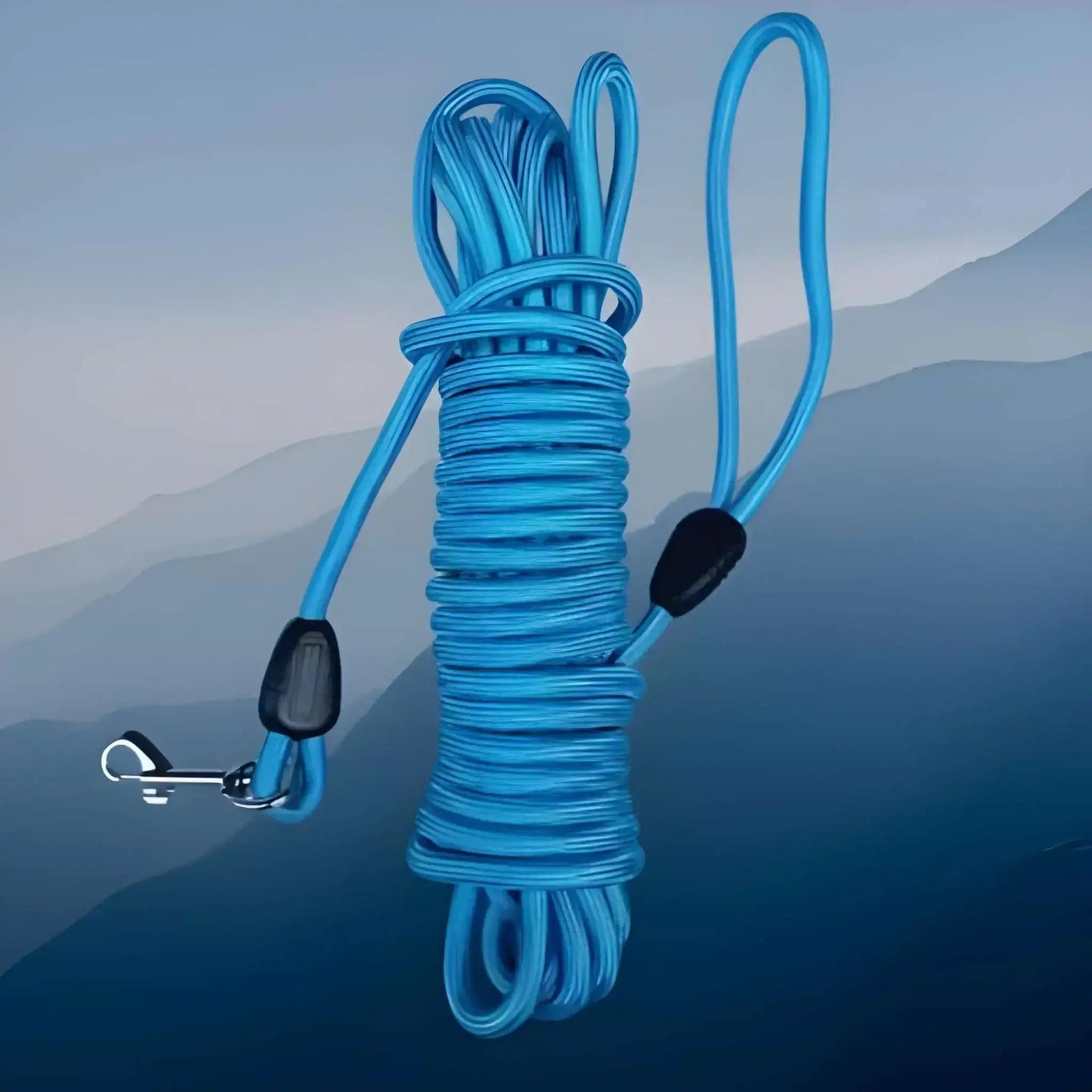Une longe pour chien de couleur bleue pour entraînement.