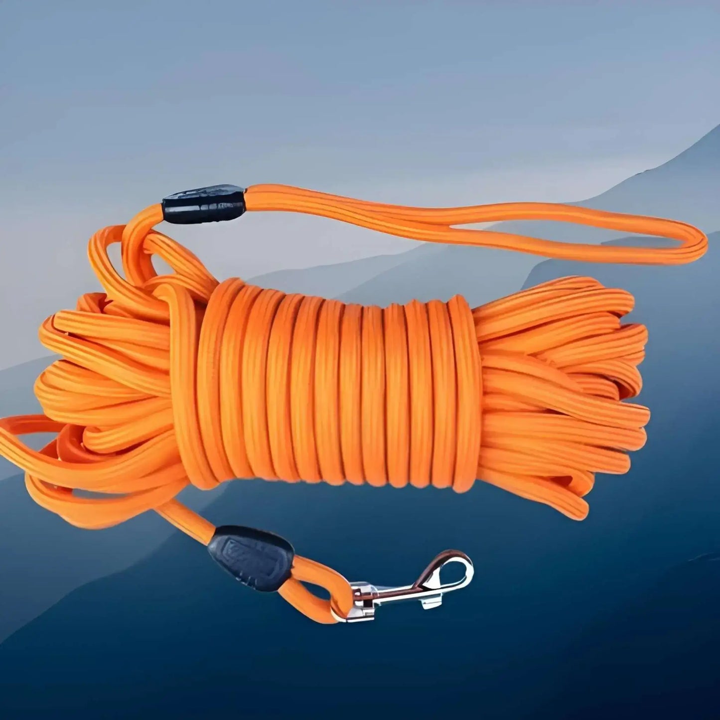 Une longe pour chien de couleur orange.