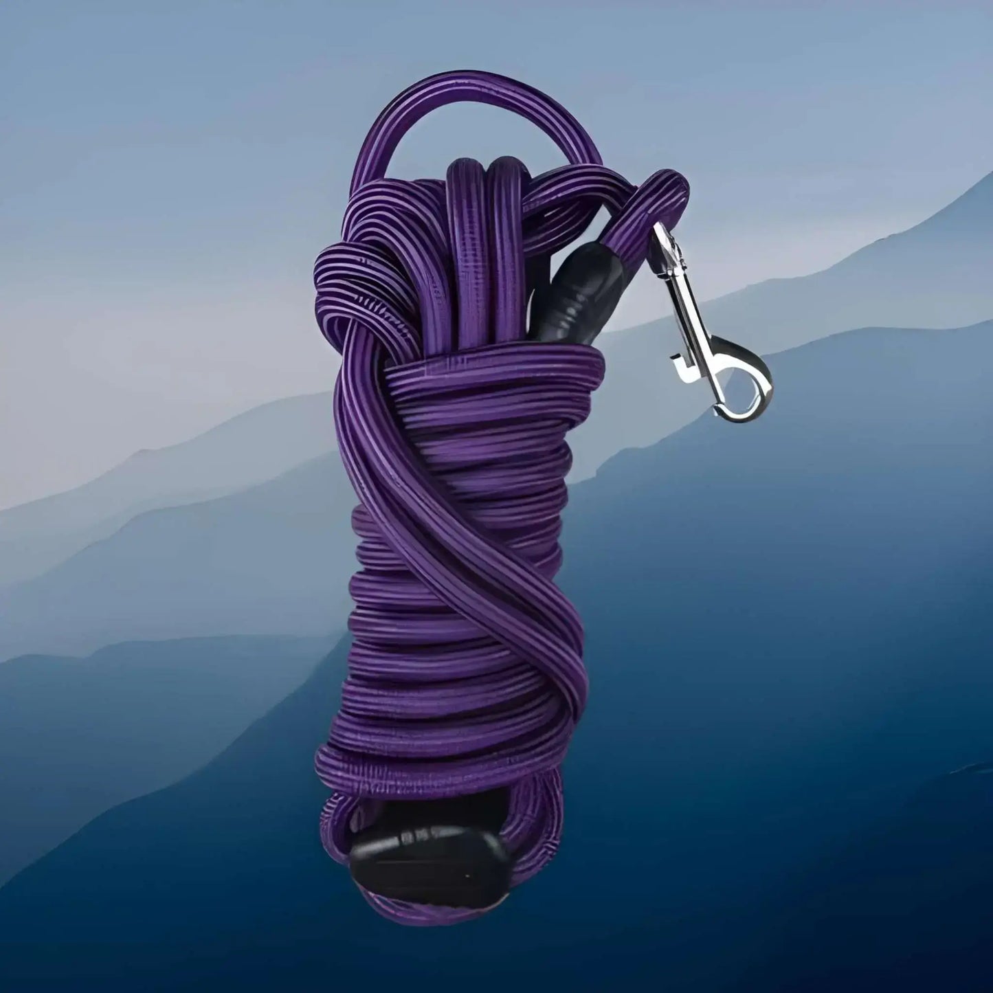 Une longe pour chien de couleur violette.