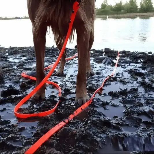 Un chien avec une longe pour chien rouge qui traine dans la boue.