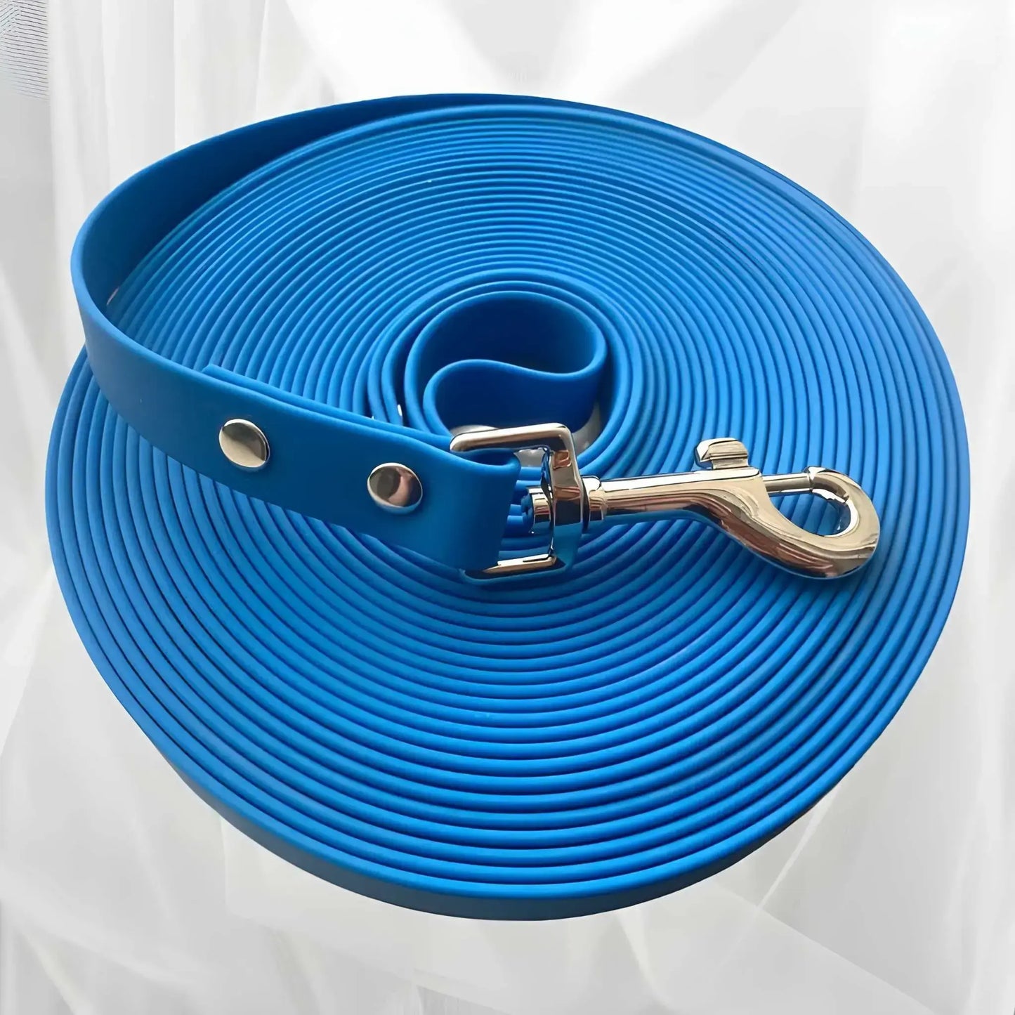 Une longe pour chien de couleur bleue en PVC.