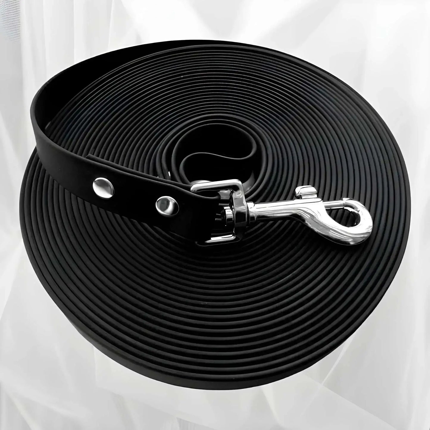 Une longe pour chien de couleur noire imperméable.