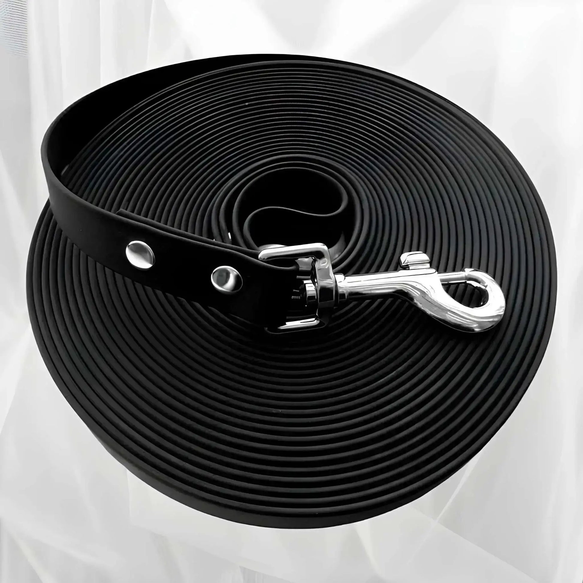 Une longe pour chien de couleur noire imperméable.