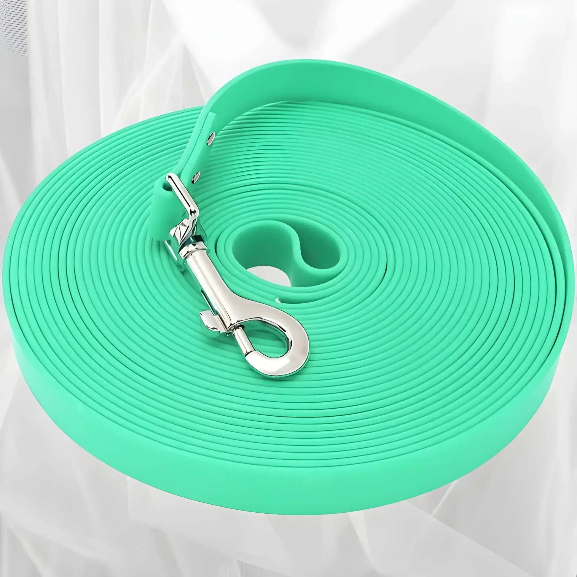Une longe pour chien de couleur turquoise en PVC impermeable.