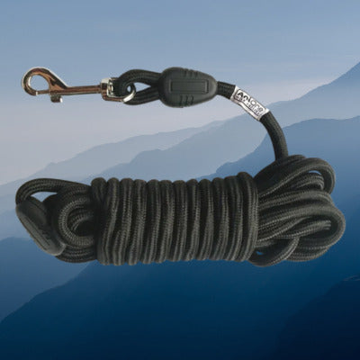 longe pour chien couleur noir