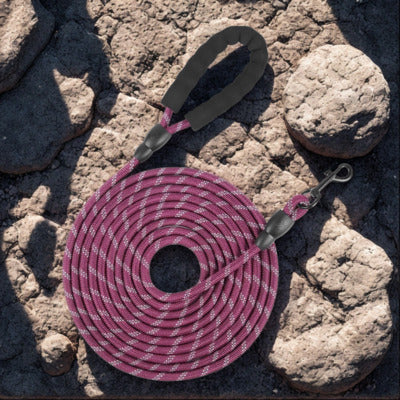 longe pour chien couleur rouge sur roche