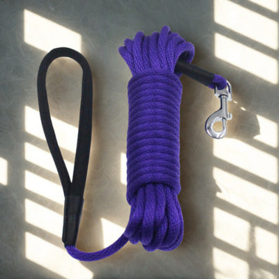 longe pour chien couleur violets