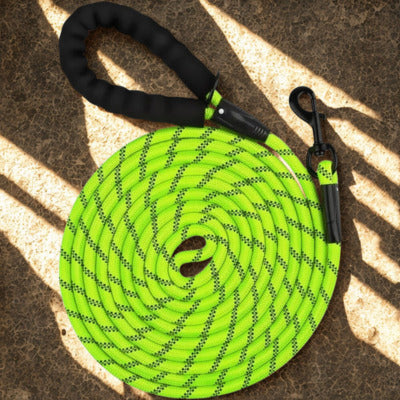 longe pour chien couleurs vert fuo