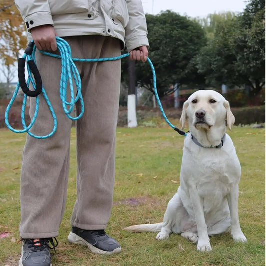 Un homme dans un parc avec son labrador et une longe pour chien bleue.
