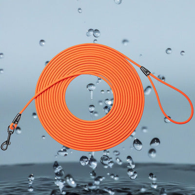 longe pour chien orange couleur