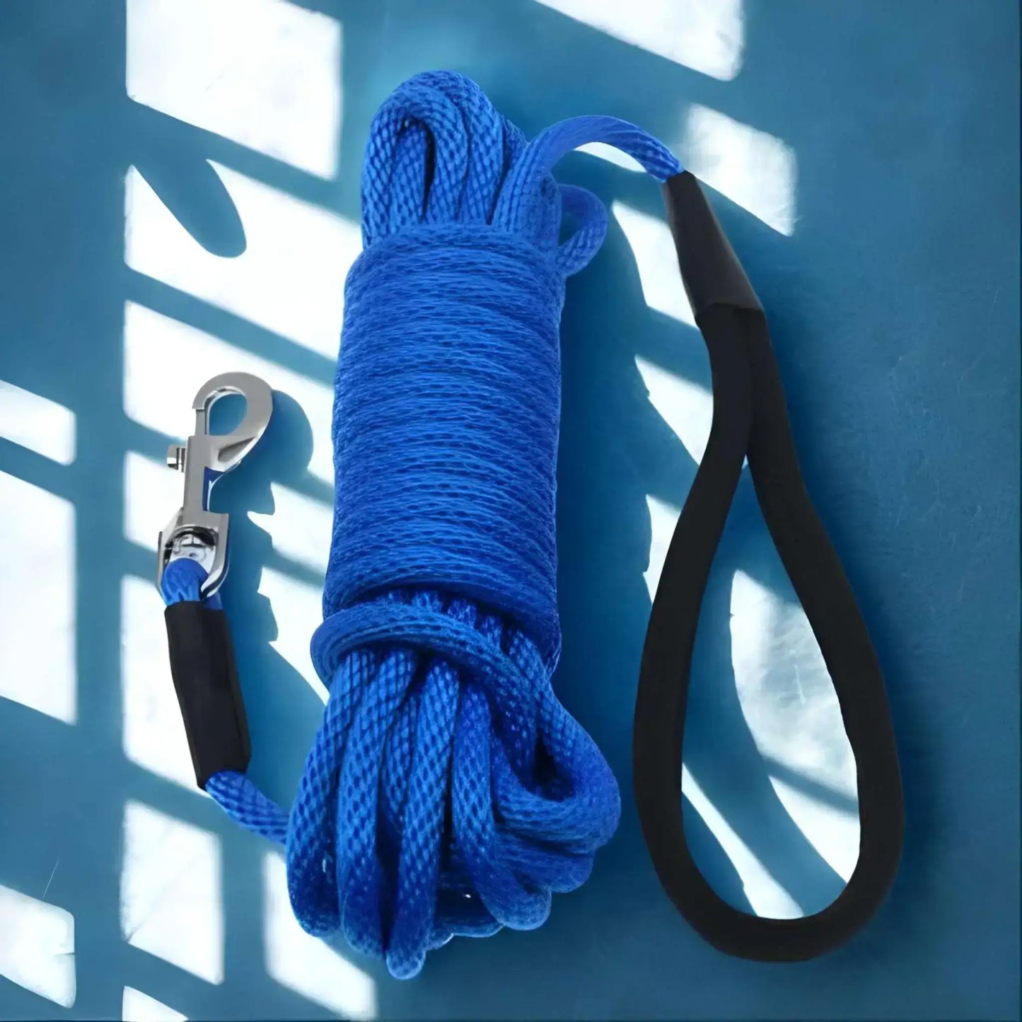 Une longe pour chien de couleur bleue.