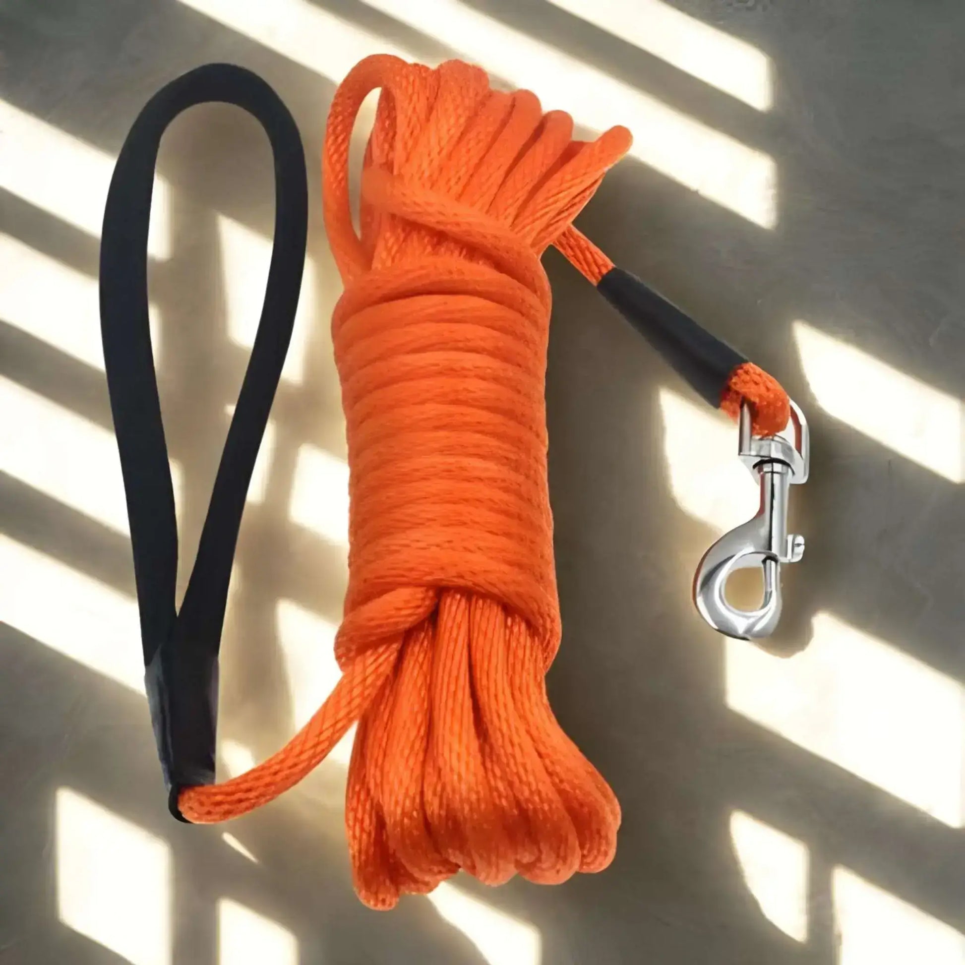Une longe pour chien de couleur orange tressée.
