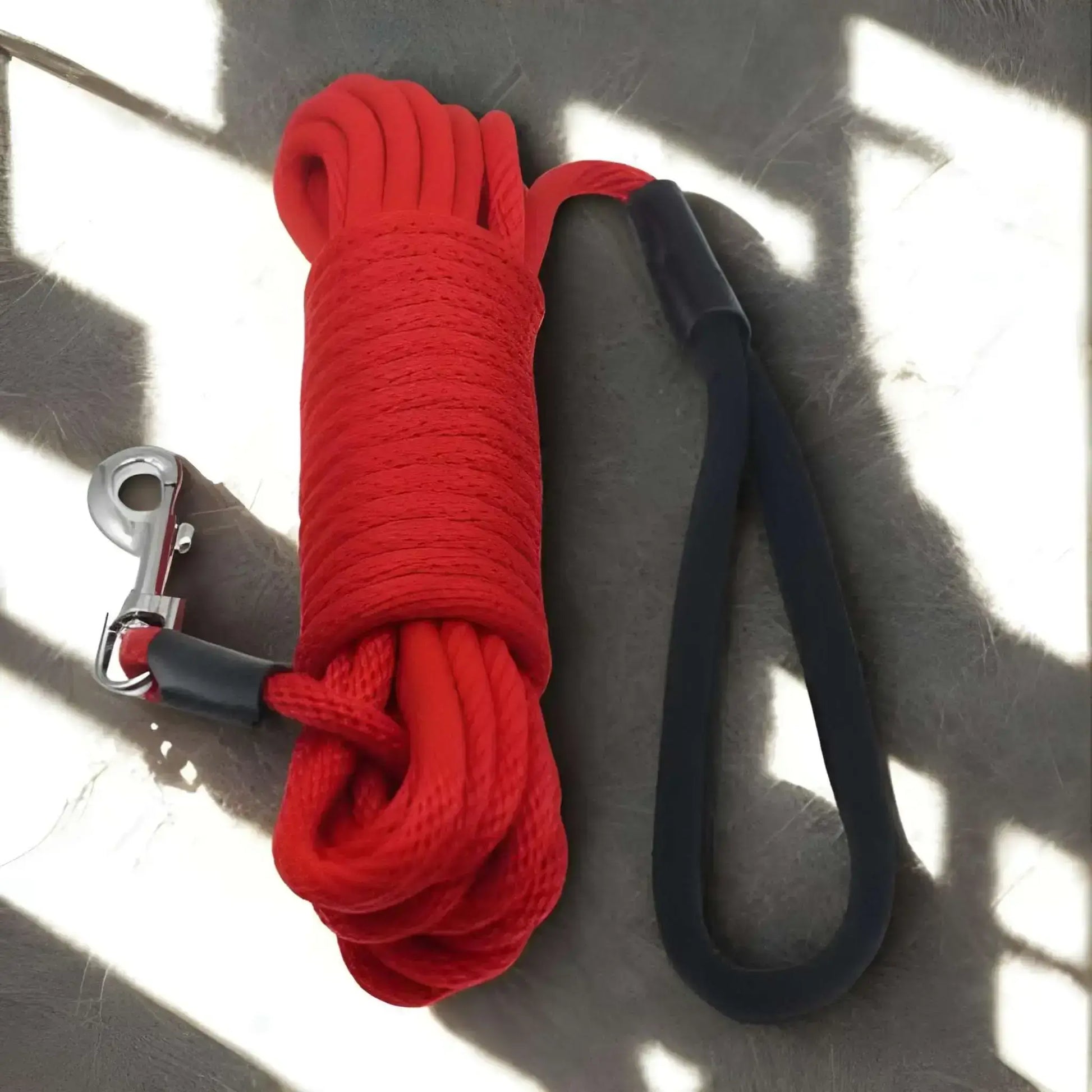 Une longe pour chien de couleur rouge en nylon.