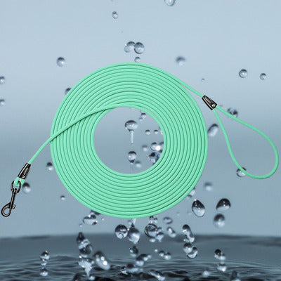 longe pour chien turquoise couleur