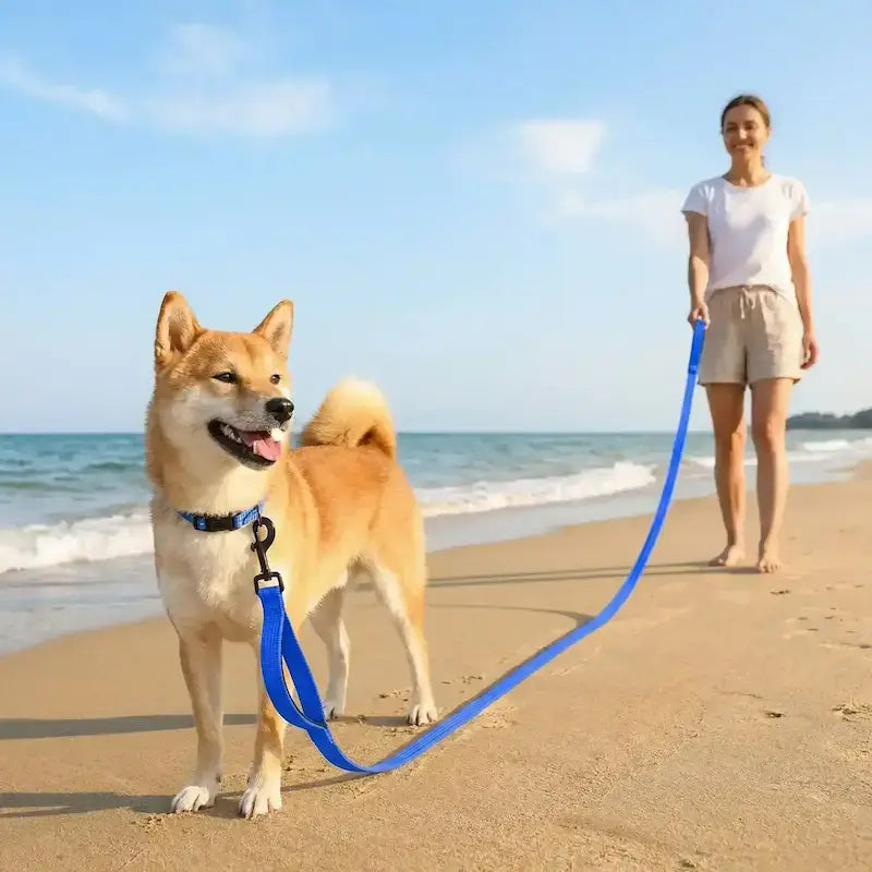 Une femme avec son shiba inu à la plage avec la longe pour chiens bleue.