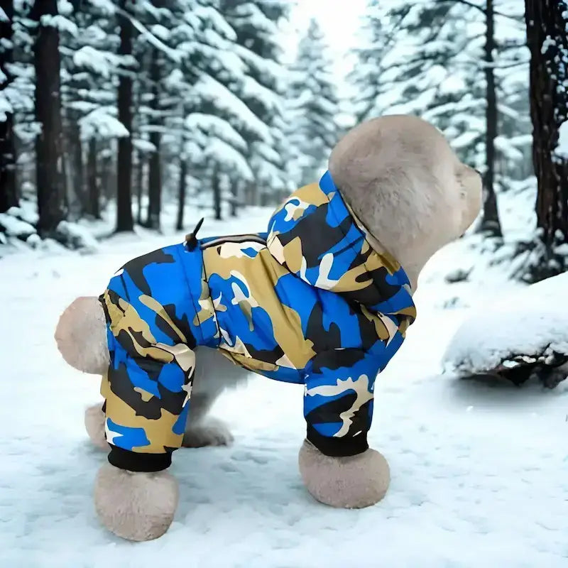 Vue latérale d'un caniche dans la forêt enneigée vêtu d'un manteau pour chien bleu camouflage.